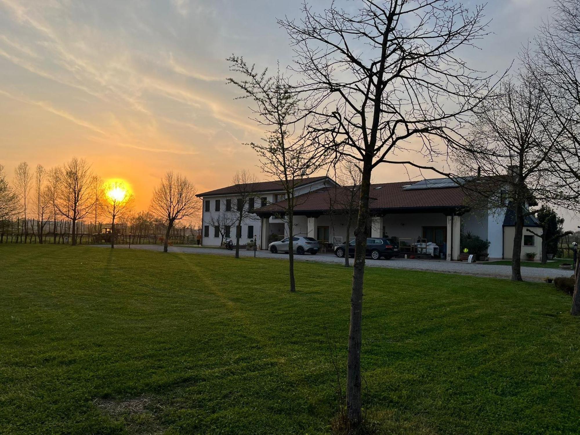 Villa Agriturismo Al Botteniga Treviso Exterior foto