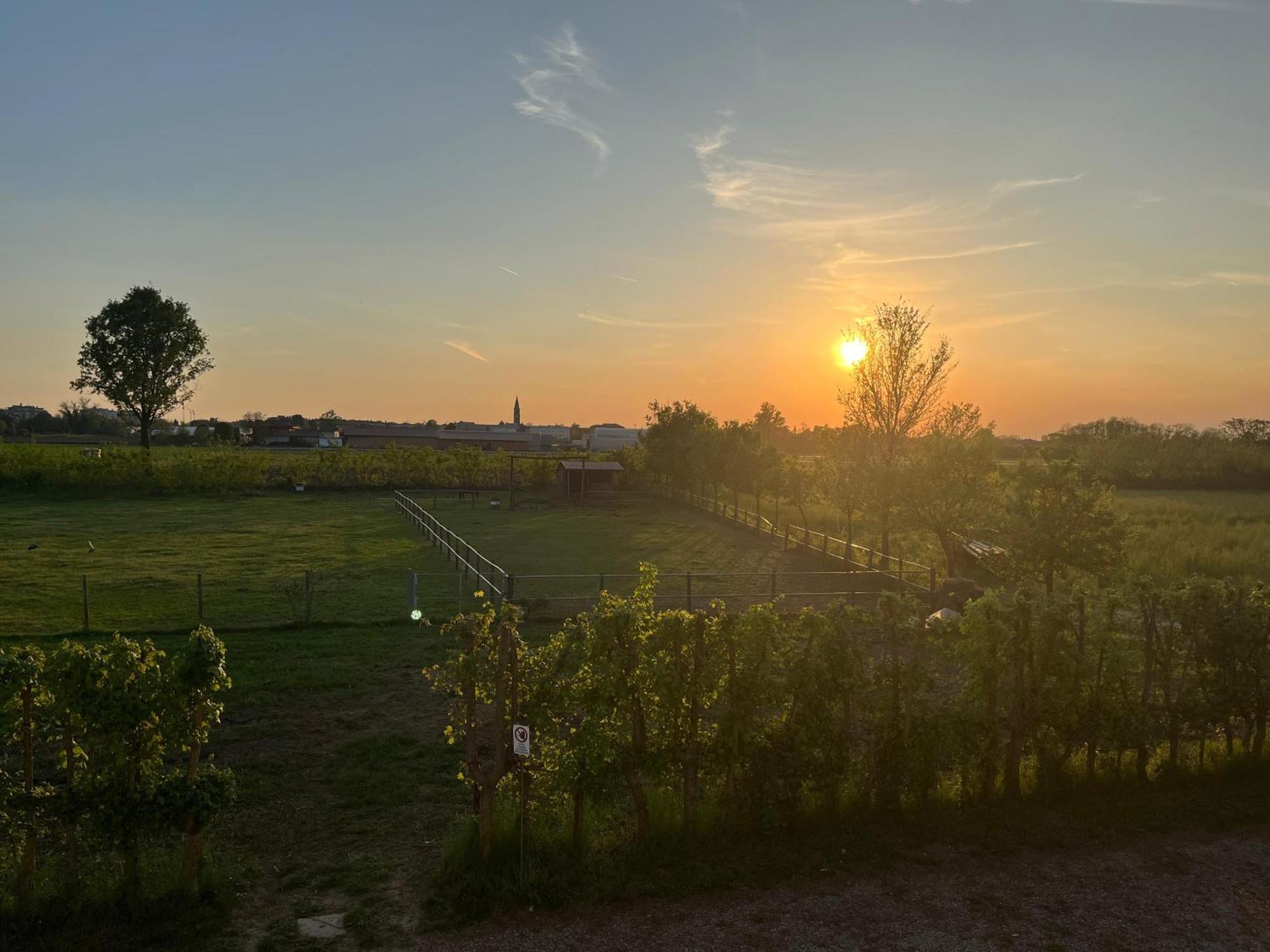 Villa Agriturismo Al Botteniga Treviso Exterior foto